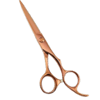 RoseElite Salon Hair Cutting Scissors