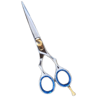 CrystalEdge Silver Salon Hair Scissors